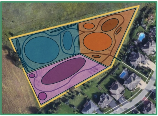 Mannheim Carolinian Corner tree planting phases